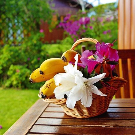 Holiday Homes Quinta Dos Curubas, Vila Franca Do Campo, Sao Miguel, Azores Exteriör bild
