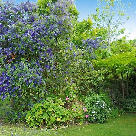 Holiday Homes Quinta Dos Curubas, Vila Franca Do Campo, Sao Miguel, Azores Exteriör bild