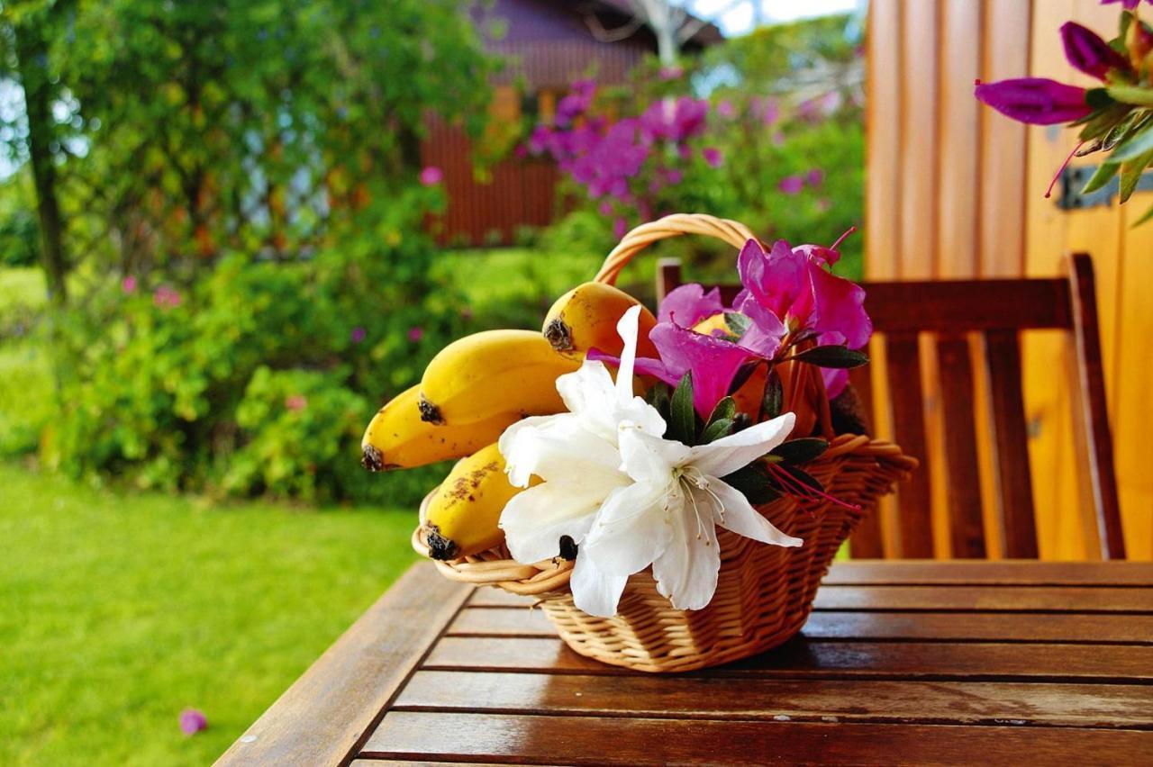 Holiday Homes Quinta Dos Curubas, Vila Franca Do Campo, Sao Miguel, Azores Exteriör bild