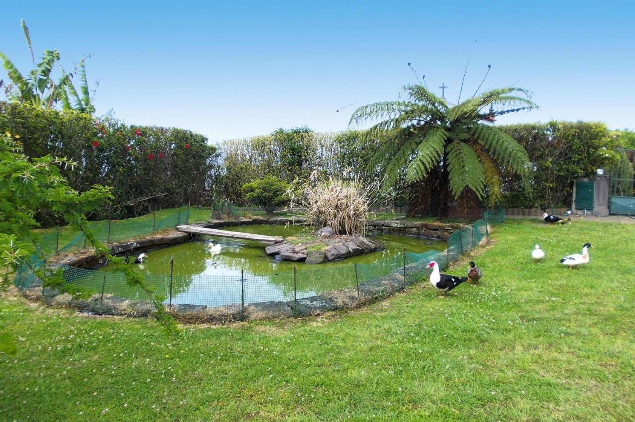 Holiday Homes Quinta Dos Curubas, Vila Franca Do Campo, Sao Miguel, Azores Exteriör bild