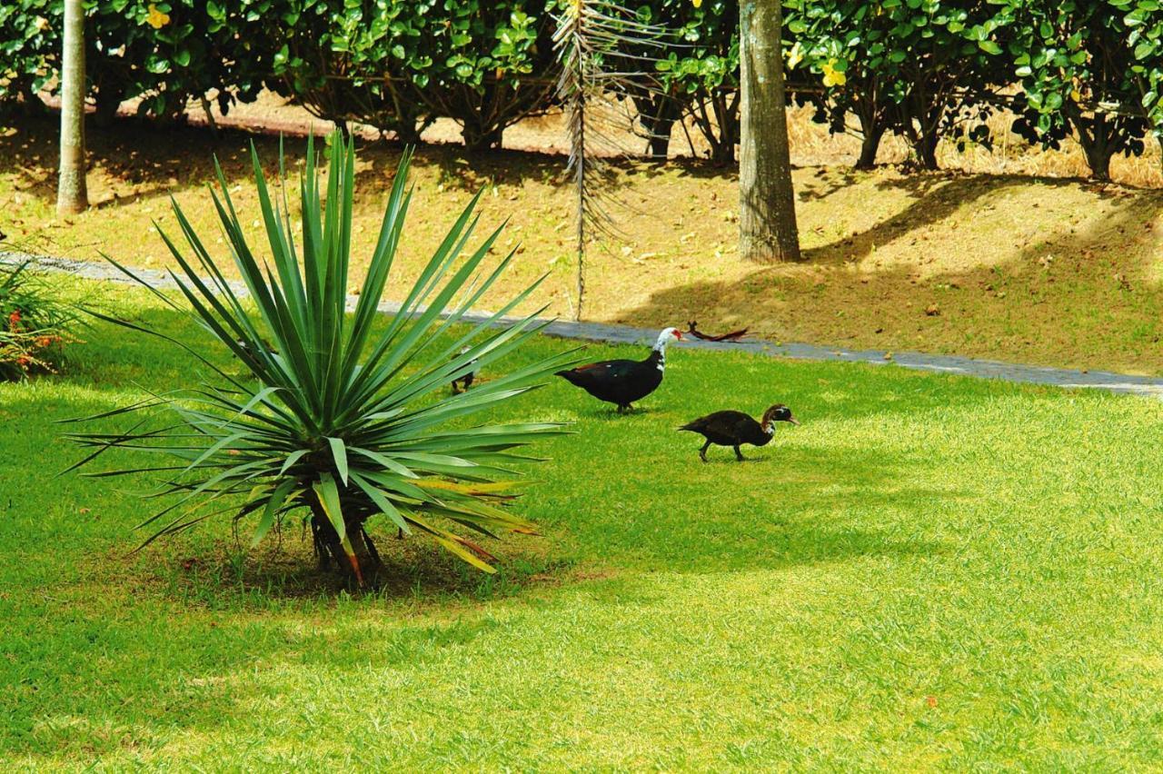 Holiday Homes Quinta Dos Curubas, Vila Franca Do Campo, Sao Miguel, Azores Exteriör bild