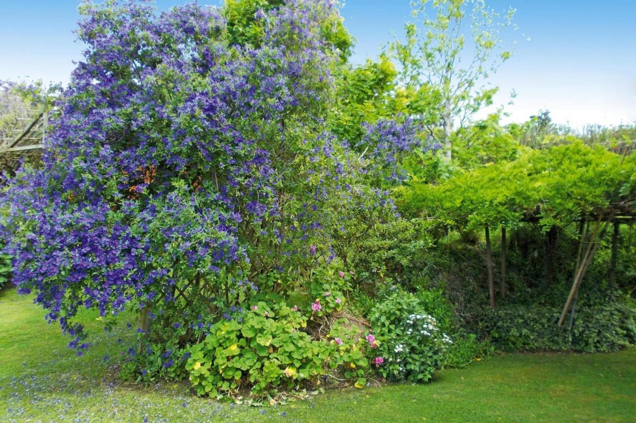 Holiday Homes Quinta Dos Curubas, Vila Franca Do Campo, Sao Miguel, Azores Exteriör bild
