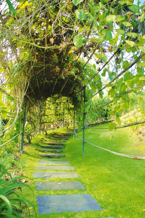 Holiday Homes Quinta Dos Curubas, Vila Franca Do Campo, Sao Miguel, Azores Exteriör bild